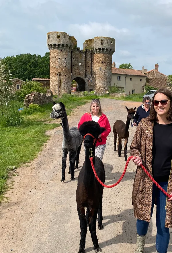 Découvrez un élevage d'alpagas avec William et Sophie - Afbeelding nr. 5 - Wecandoo