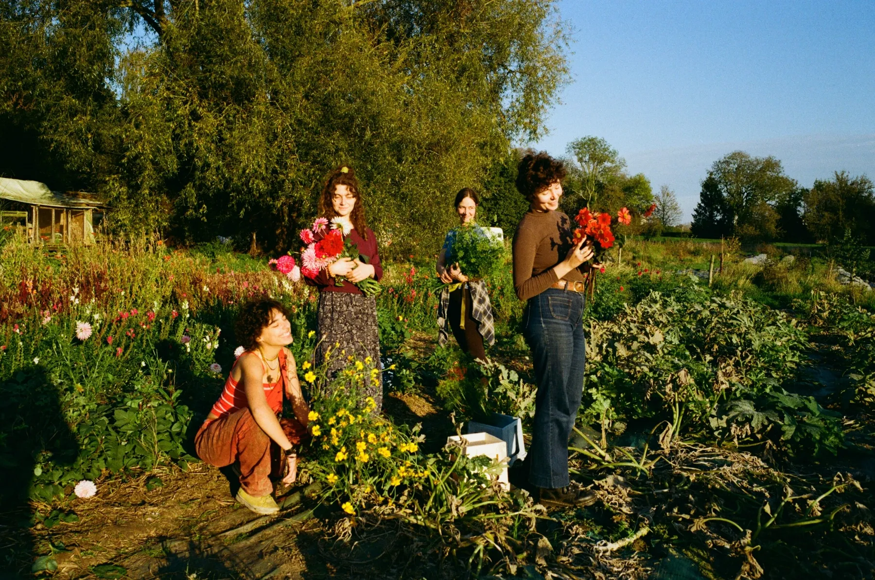 Réunissez votre équipe et confectionnez vos couronnes de saison avec Fiona - Image n°2 - Wecandoo
