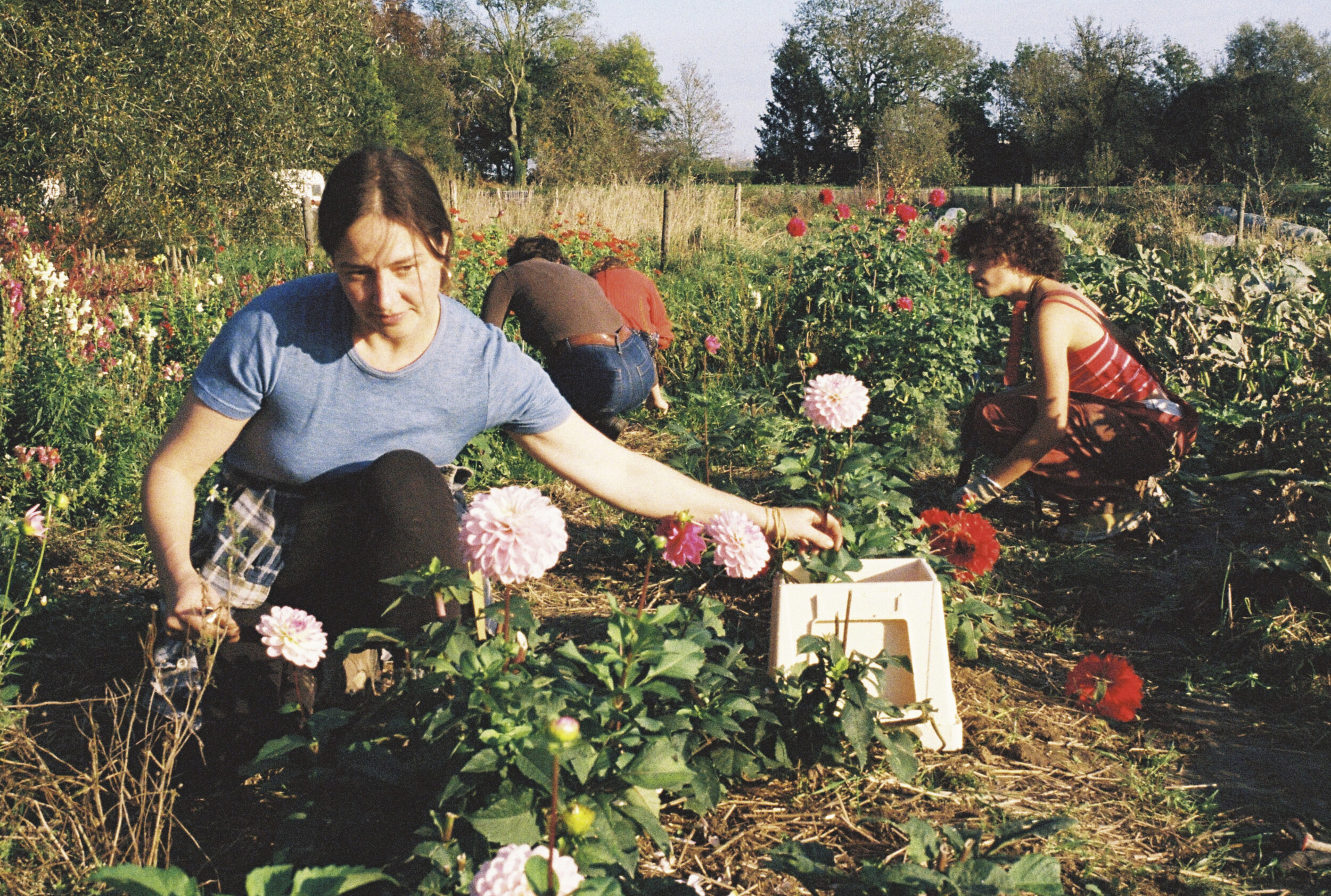 Wecandoo - Initiez-vous aux fleurs gourmandes avec Fiona - Image n°3