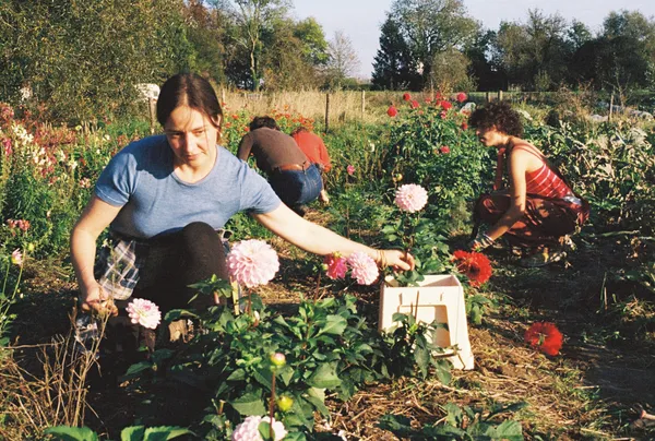 Initiez-vous aux fleurs comestibles avec Fiona - Image n°3 - Wecandoo