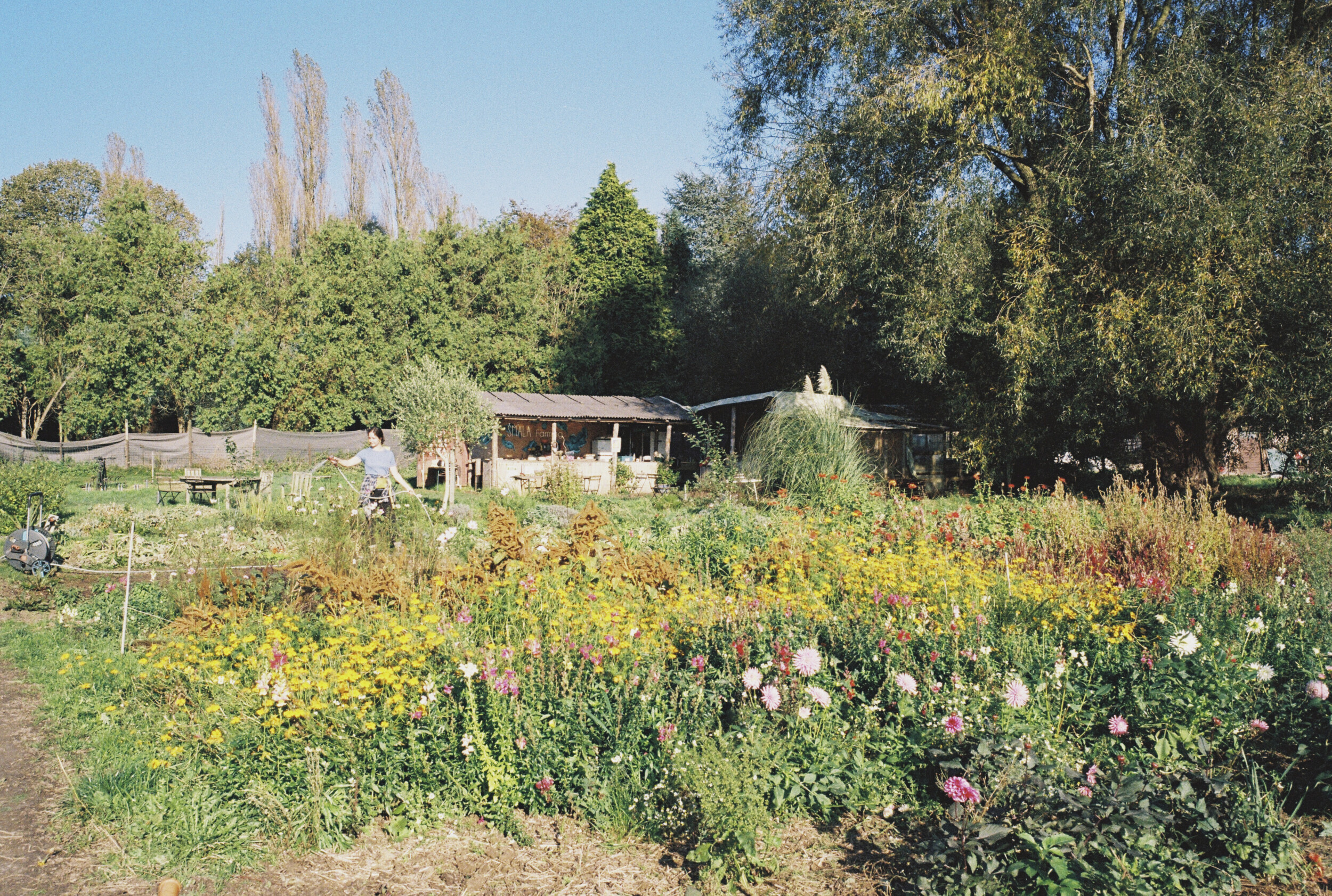 Wecandoo - Initiez-vous aux fleurs gourmandes avec Fiona - Image n°4