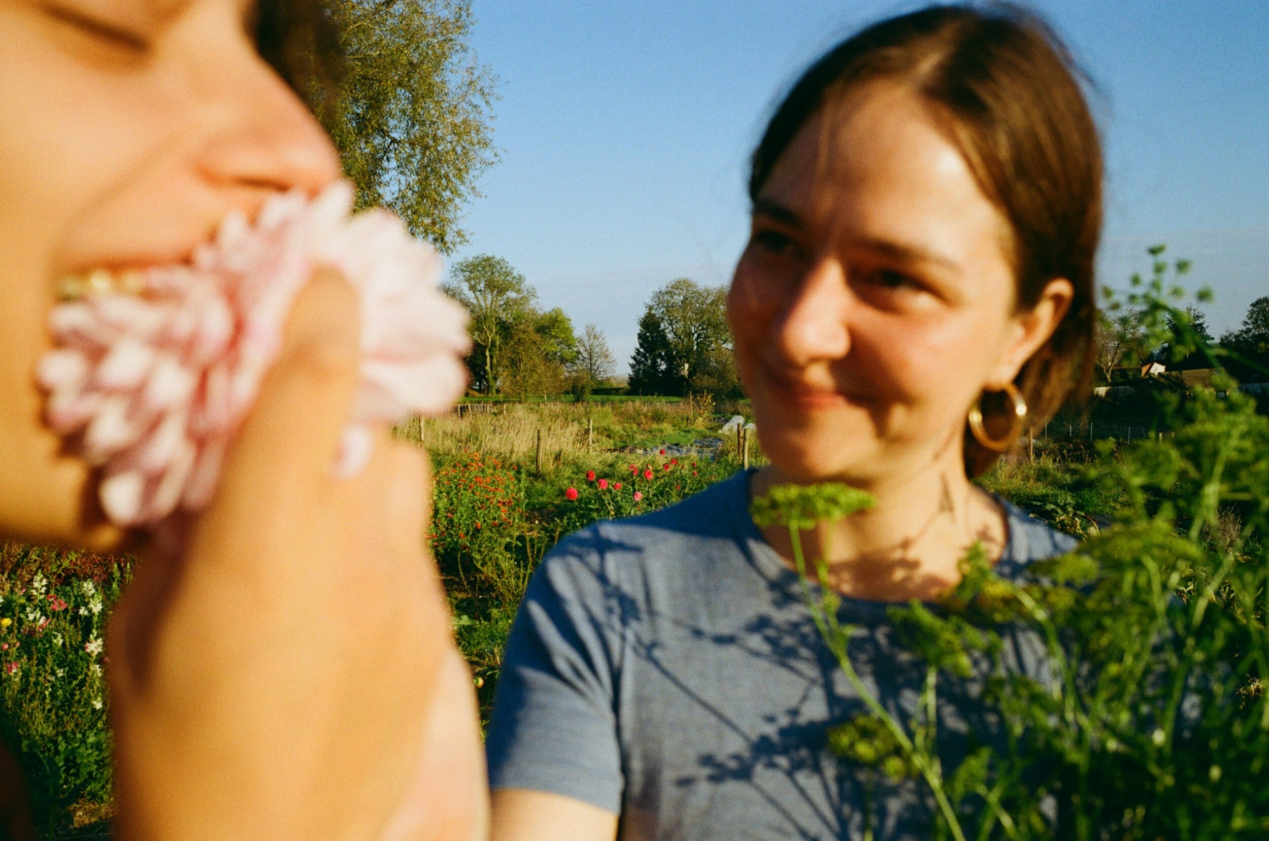 Wecandoo - Initiez-vous aux fleurs gourmandes avec Fiona - Image n°6