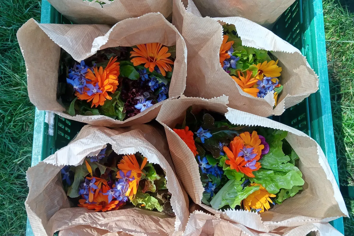 Initiez-vous aux fleurs gourmandes