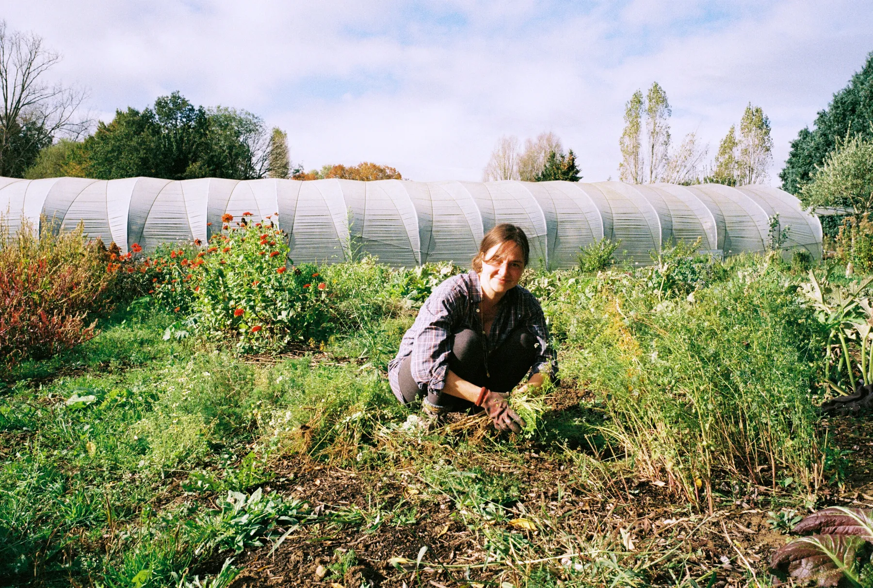 Semez votre jardin de fleurs - Image n°5 - Wecandoo