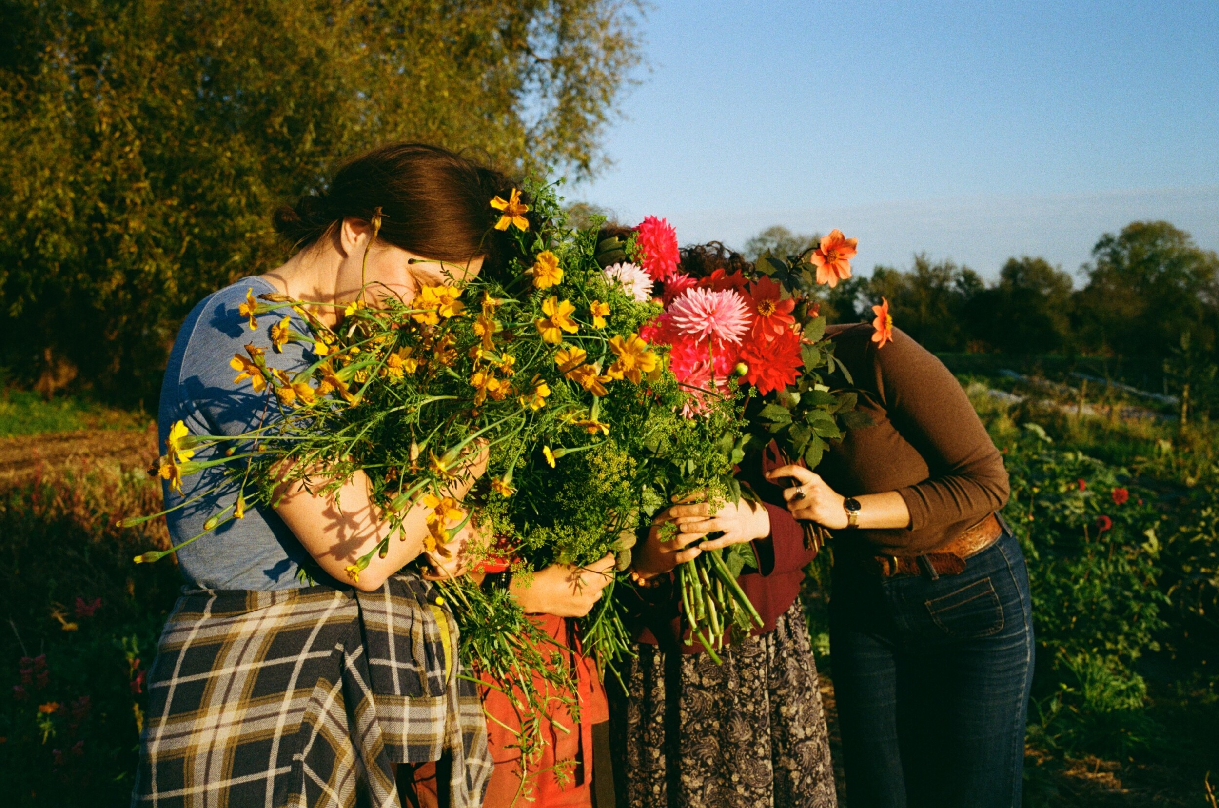 Wecandoo - Cultivez et transformez vos fleurs avec Fiona - Image n°4