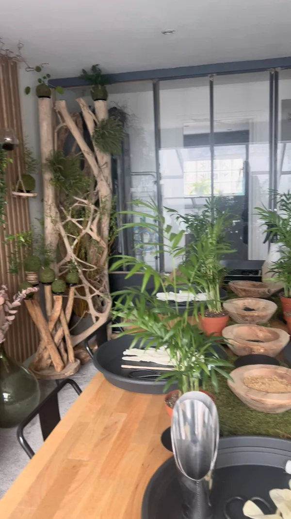 Réunissez votre équipe et réalisez votre kokedama avec Sabrina - Image n°5 - Wecandoo