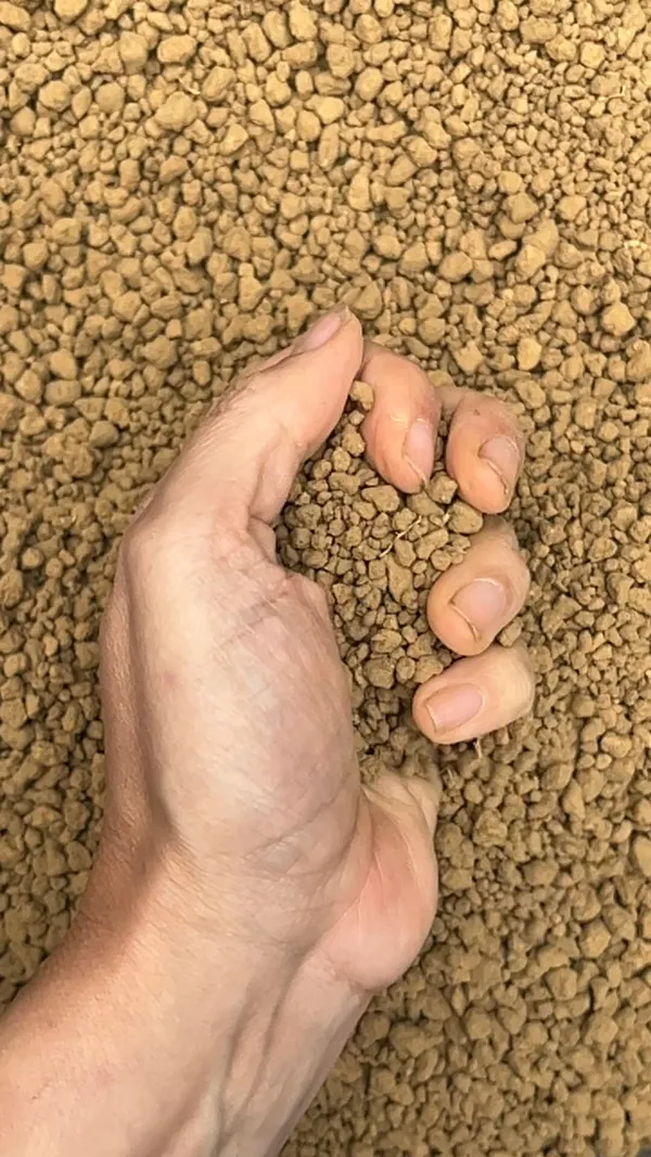 Réunissez votre équipe et réalisez votre kokedama avec Sabrina - Image n°4 - Wecandoo