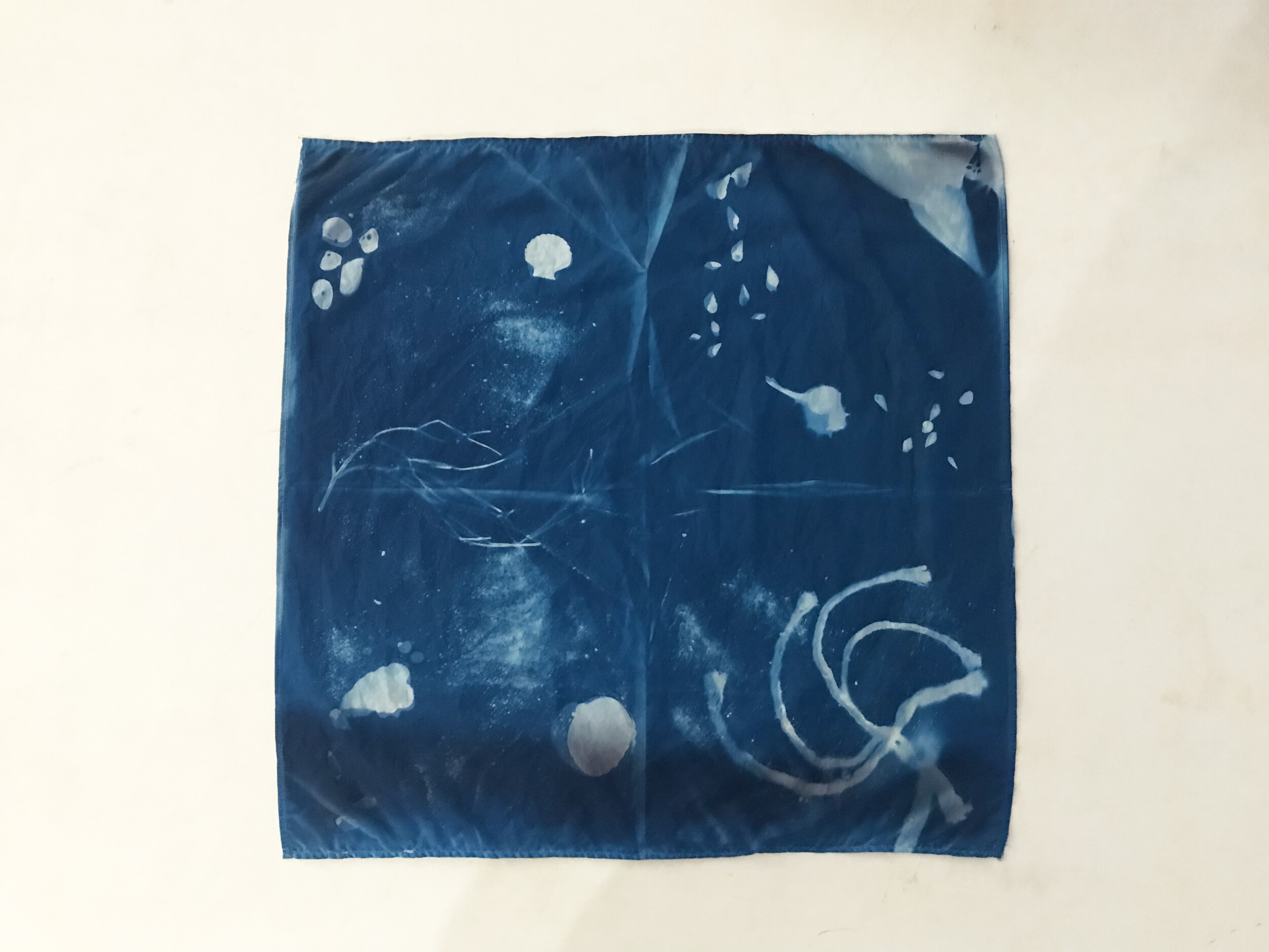 Wecandoo - Réalisez votre foulard en cyanotype avec Clara - Image n°8