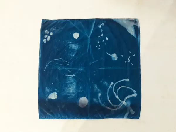 Wecandoo - Réalisez votre foulard en cyanotype