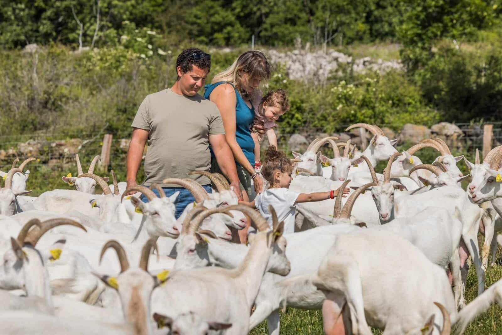 Wecandoo - Découvrez un élevage de chèvres en AOP Picodon avec Paul et Clémence - Image n°3