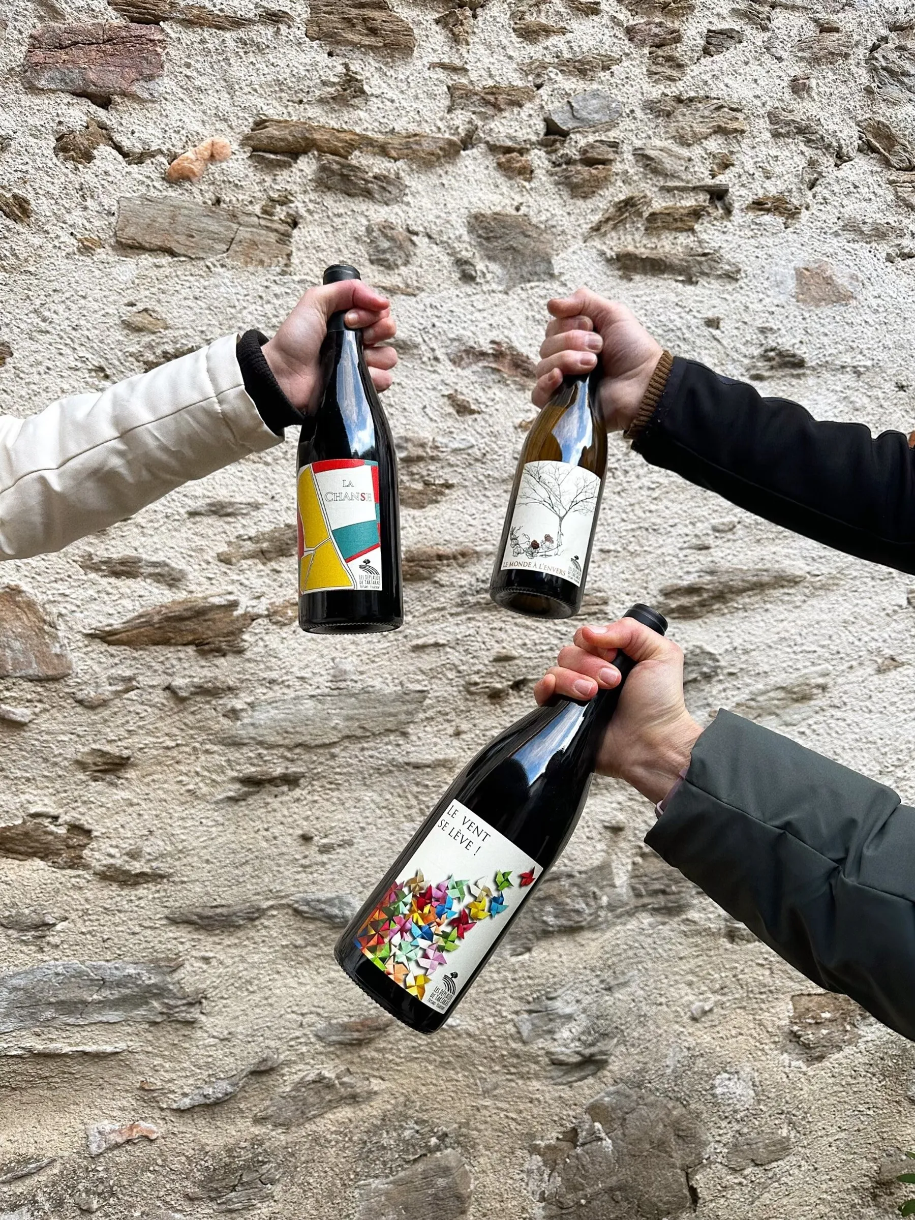 Réunissez votre équipe dans un domaine et dégustez des vins avec Isabelle - Image n°5 - Wecandoo