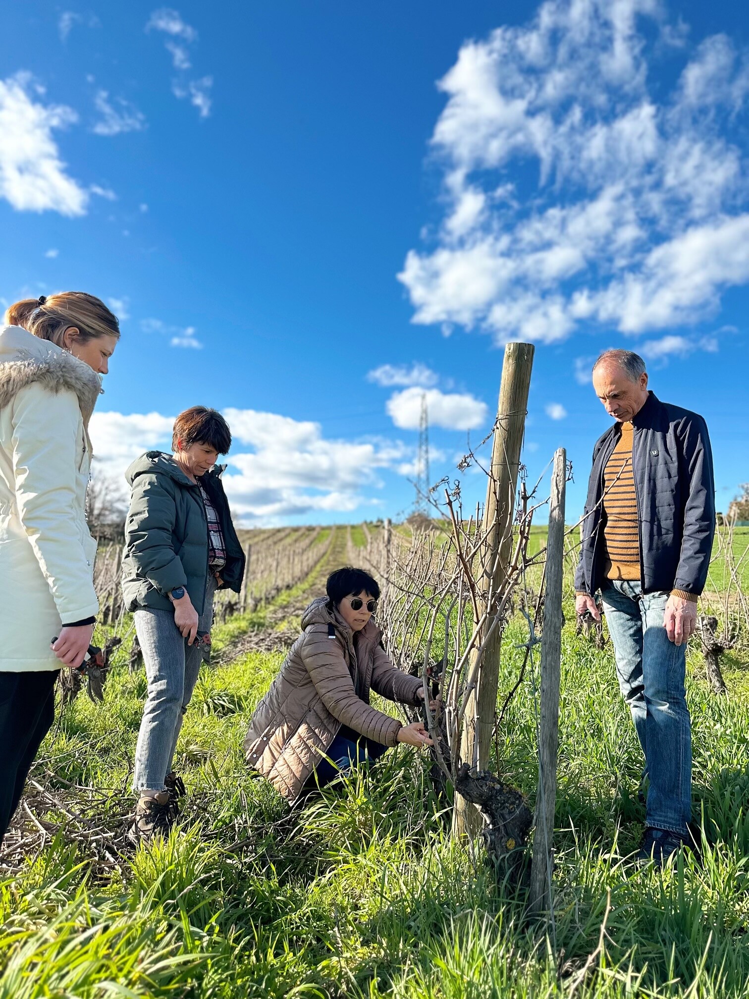 Wecandoo - Réunissez votre équipe dans un domaine et dégustez des vins avec Isabelle - Image n°1