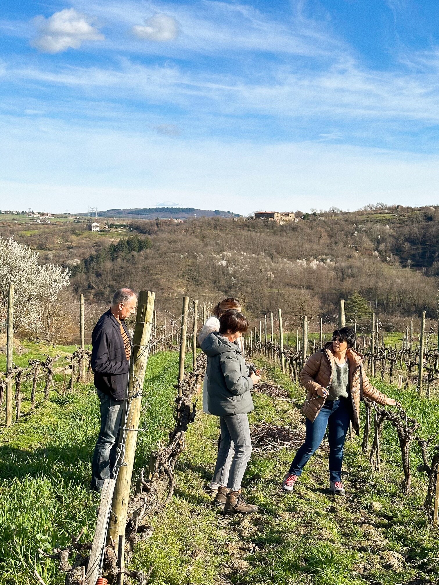 Wecandoo - Réunissez votre équipe dans un domaine et dégustez des vins avec Isabelle - Image n°3