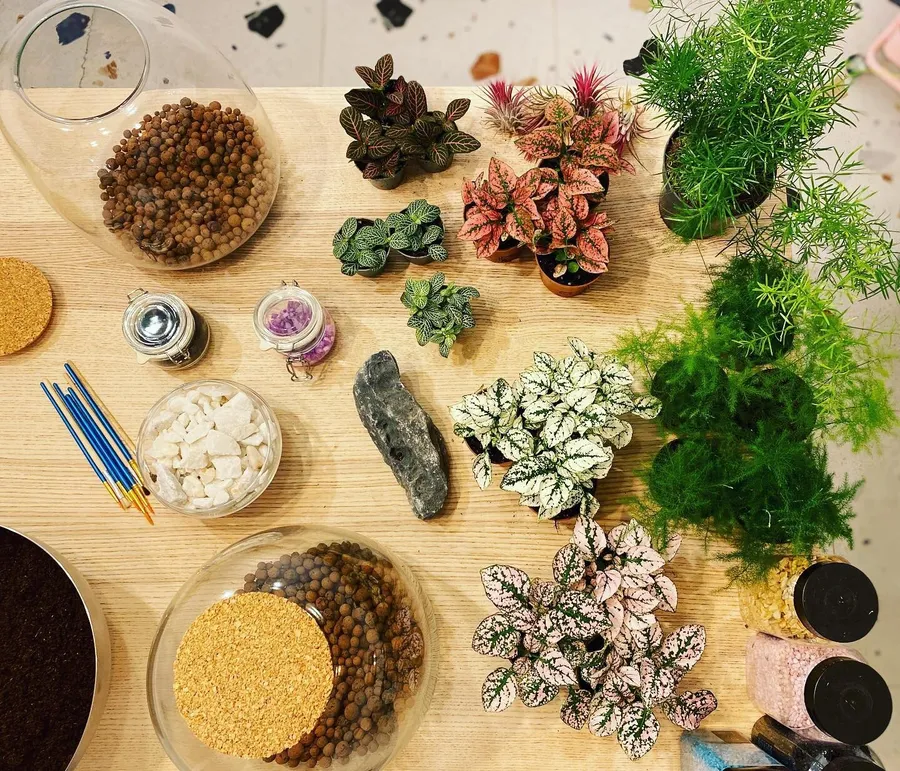 Enchantez votre équipe et réalisez chacun un terrarium avec Maud et Camille - Image n°1 - Wecandoo