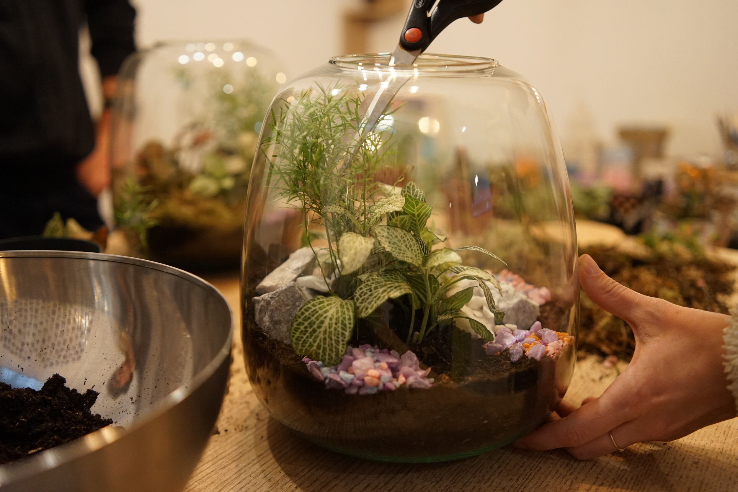 Wecandoo - Enchantez votre équipe et réalisez chacun un terrarium avec Maud et Camille - Image n°4