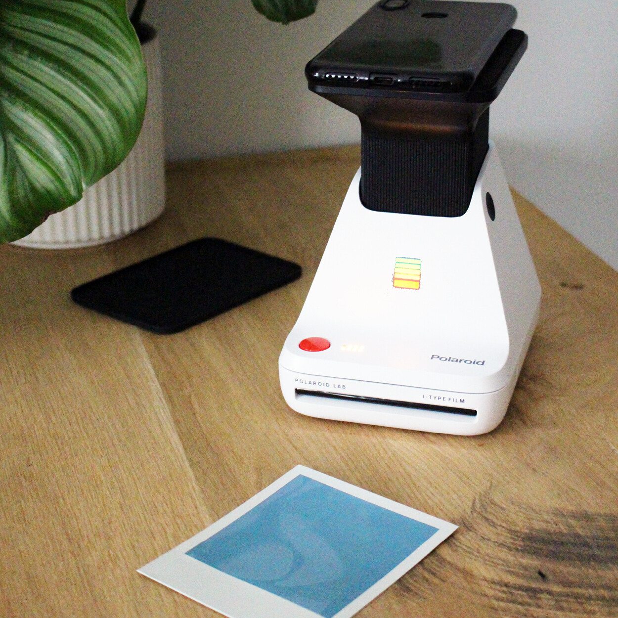 Wecandoo - Découvrez une autre facette du Polaroid avec Élodie - Image n°2