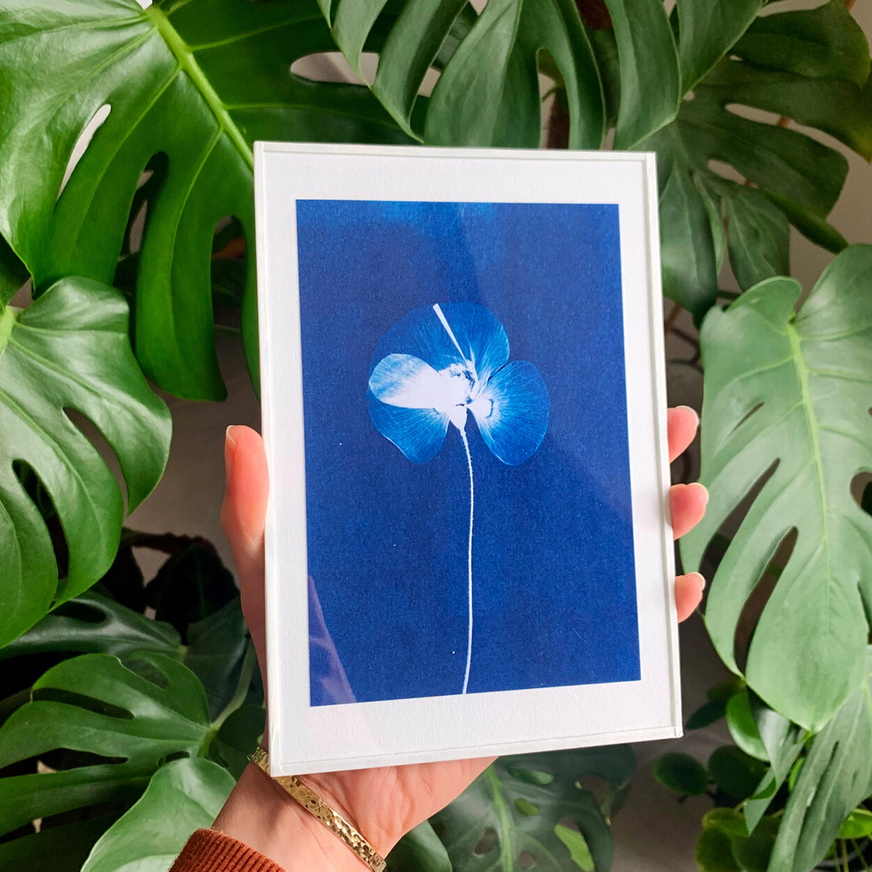 Wecandoo - Réalisez vos tirages en cyanotype avec Élodie - Image n°6