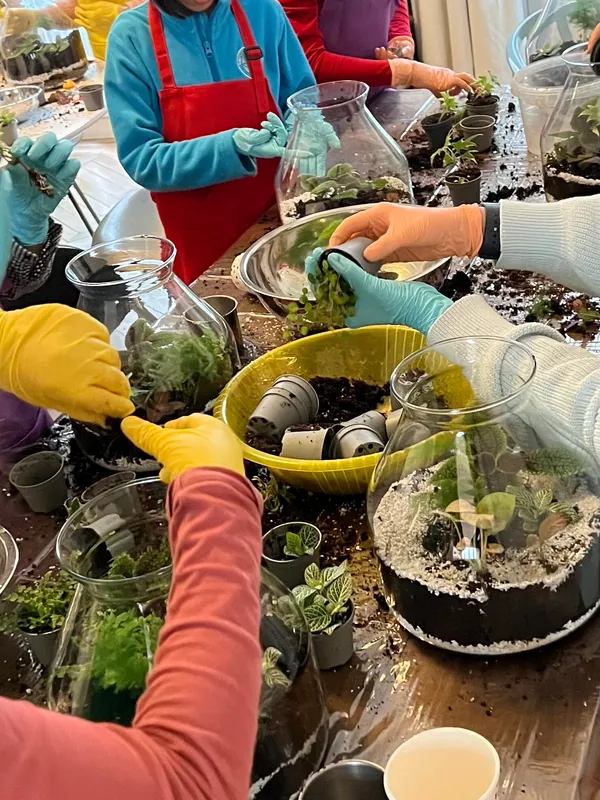 Composez votre terrarium de taille L avec Kali - Image n°3 - Wecandoo