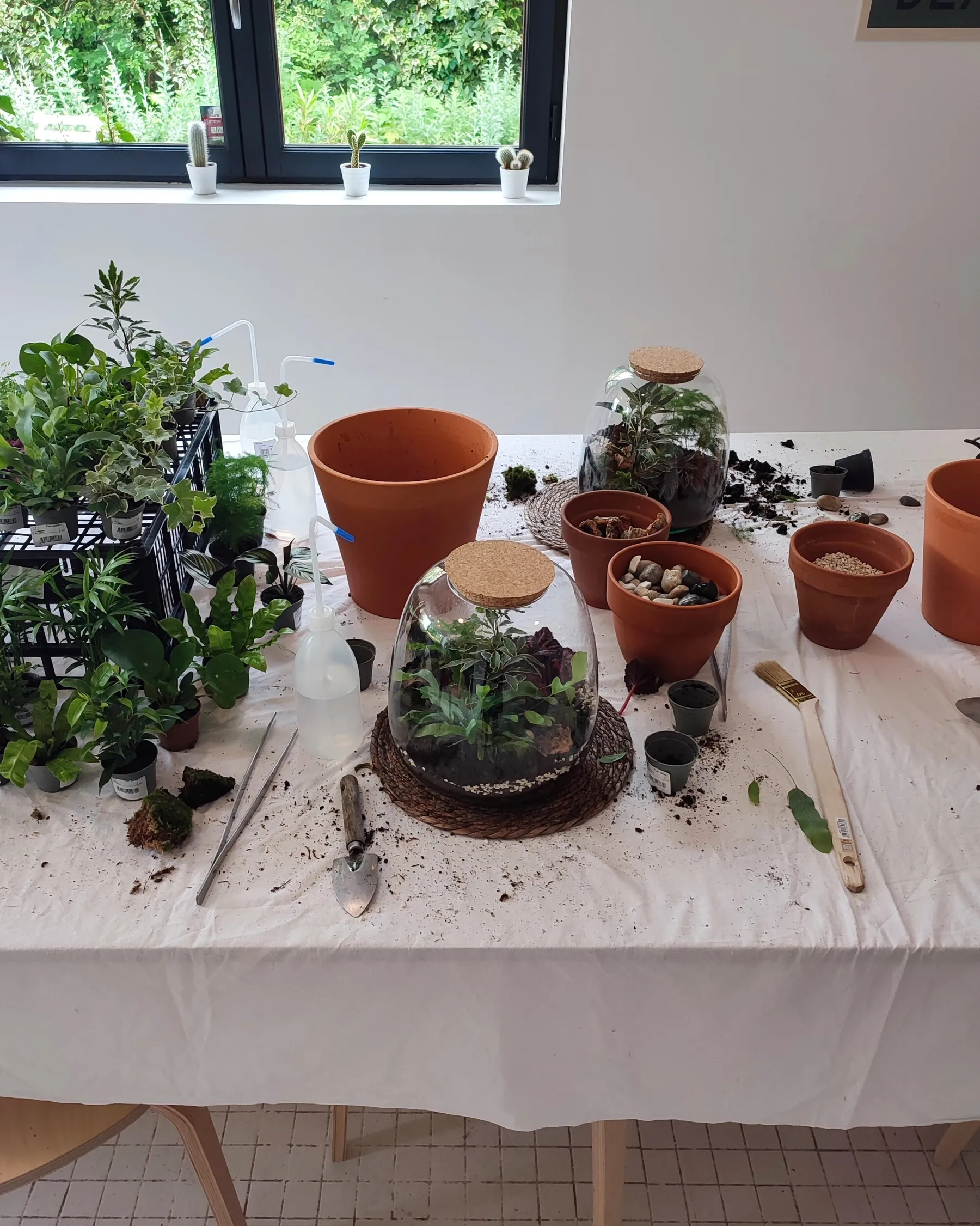 Réalisez votre terrarium fermé grand format avec Charlotte - Image n°4 - Wecandoo