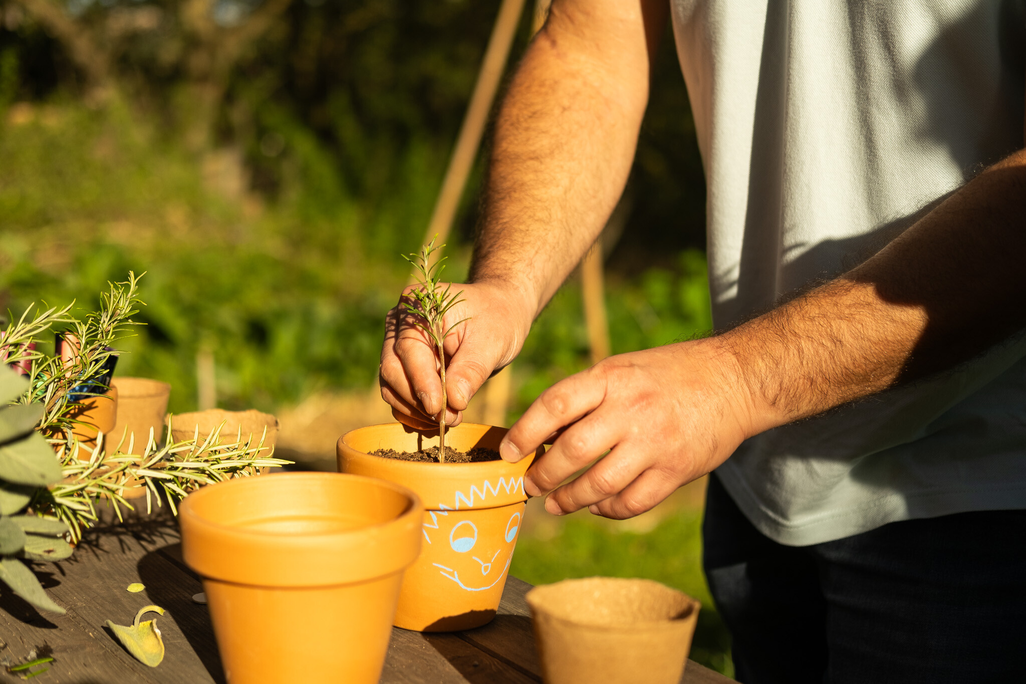 Wecandoo - Cultivez et transformez des plantes aromatiques avec Philippe - Image n°7