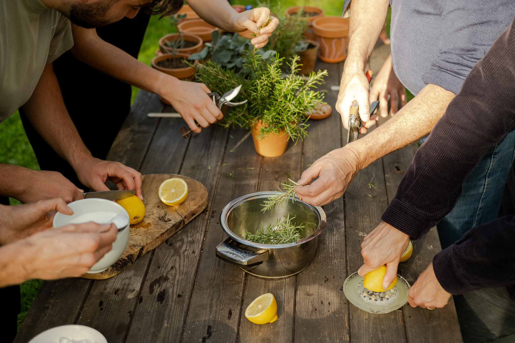 Wecandoo - Cultivez et transformez des plantes aromatiques avec Philippe - Image n°3