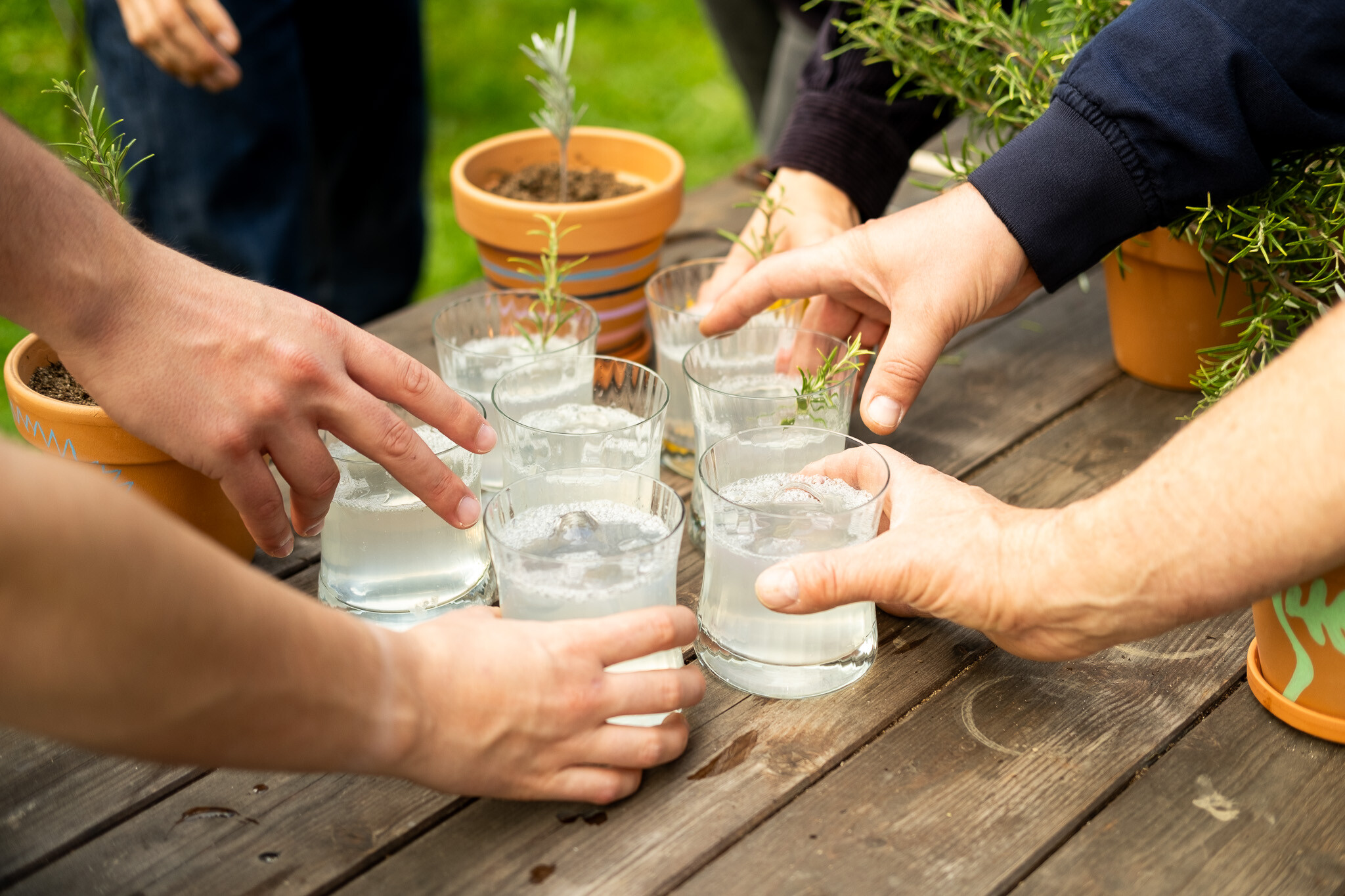 Wecandoo - Cultivez et transformez des plantes aromatiques avec Philippe - Image n°4