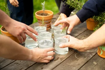 Cultivez des plantes aromatiques