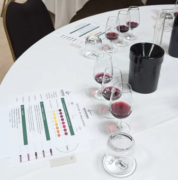 Défiez votre équipe et participez à des œnopiades avec Kevin et Pierre - Afbeelding nr. 4 - Wecandoo