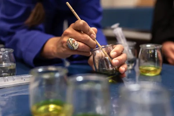 Découvrez le cyanotype en famille avec Sarah - Afbeelding nr. 4 - Wecandoo