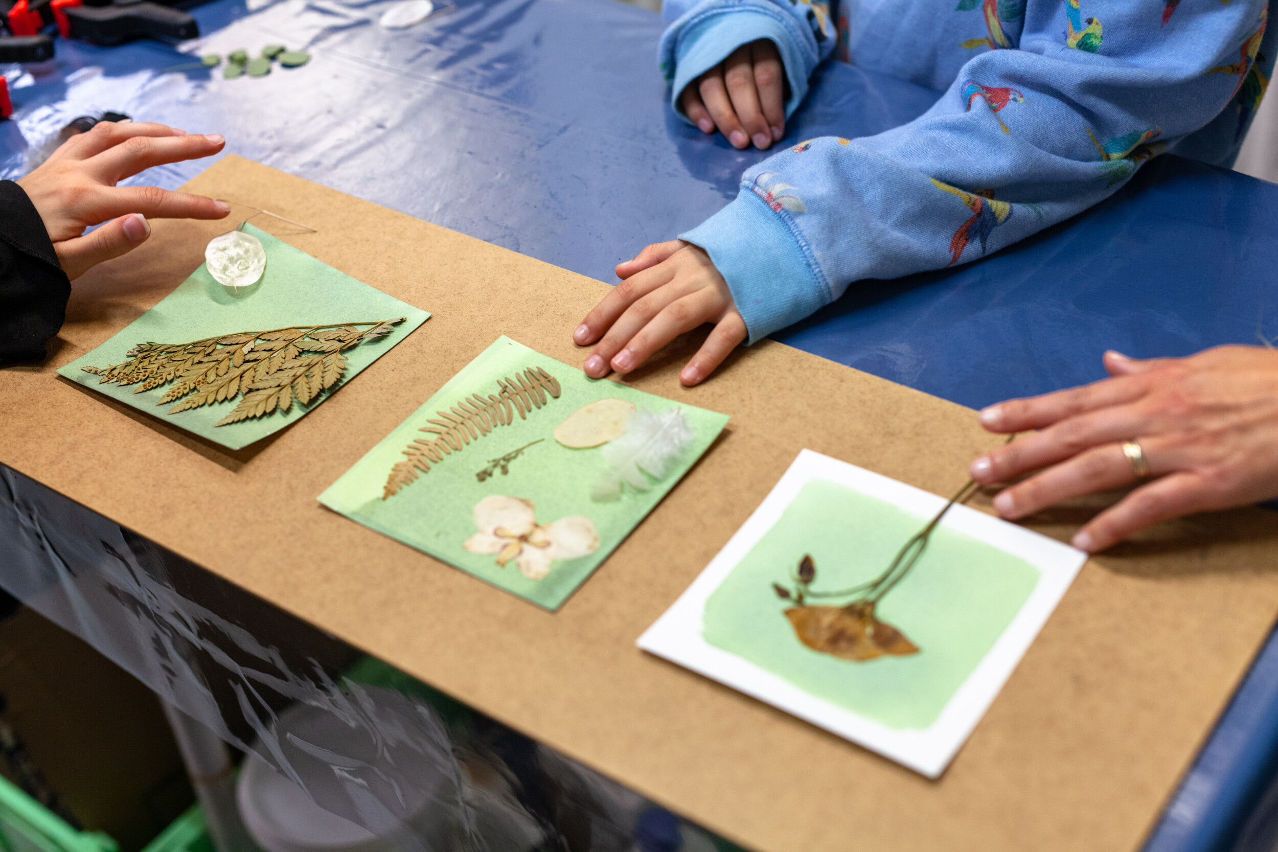 Wecandoo - Découvrez le cyanotype en famille avec Sarah - Image n°7