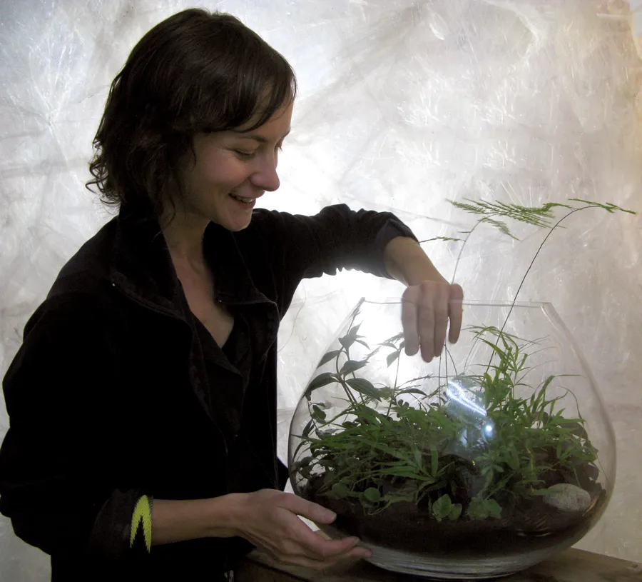 Composez votre terrarium de taille L avec Kali - Image n°1 - Wecandoo