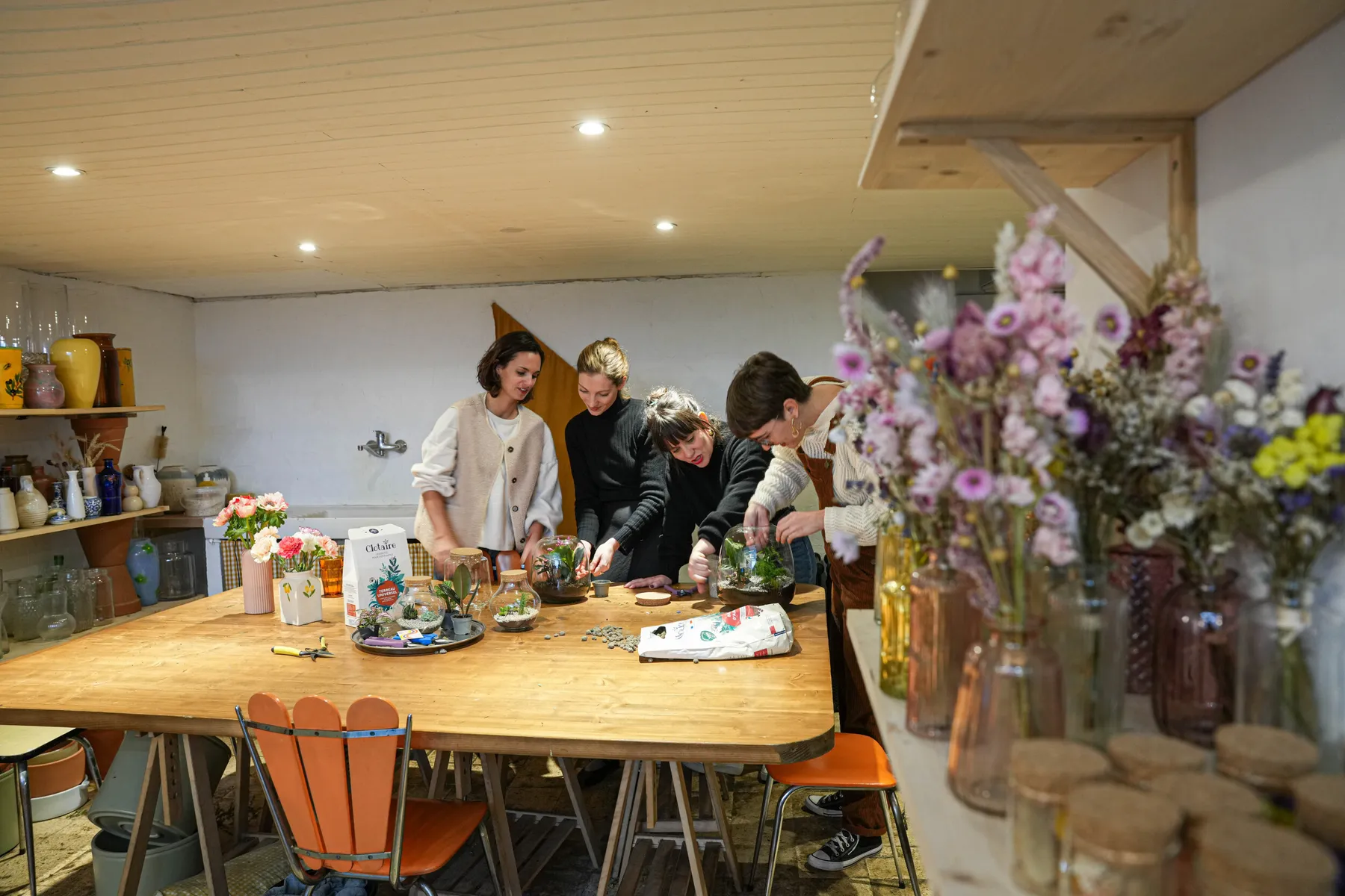 Composez votre petit terrarium - Image n°2 - Wecandoo