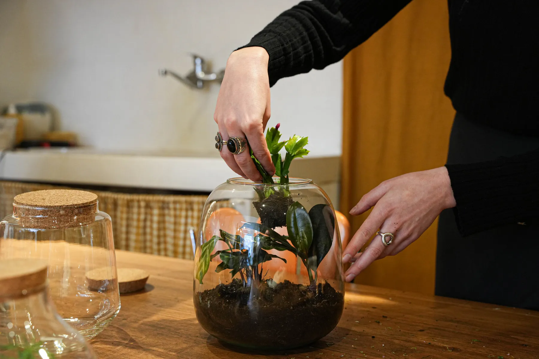 Composez votre petit terrarium - Image n°3 - Wecandoo