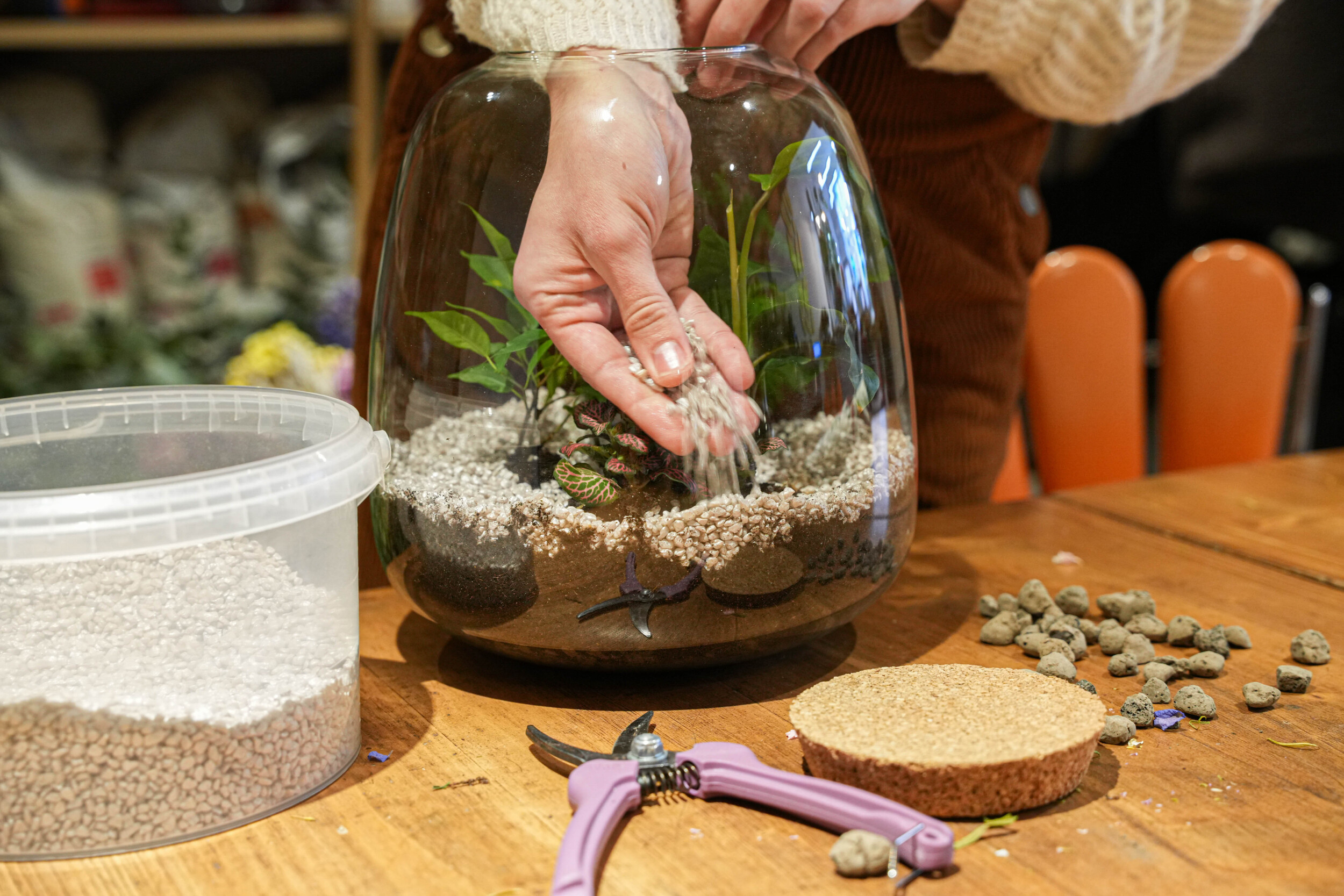 Wecandoo - Composez votre petit terrarium - Image n°1