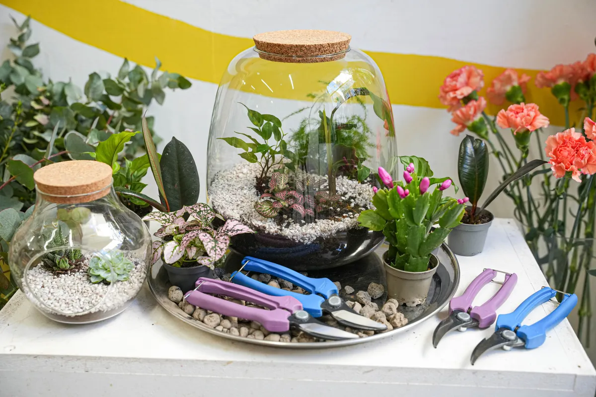 Composez votre petit terrarium