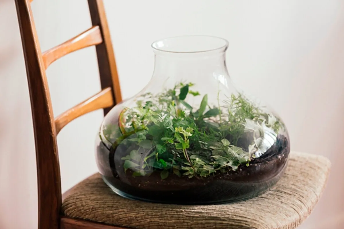 Composez votre terrarium de taille L