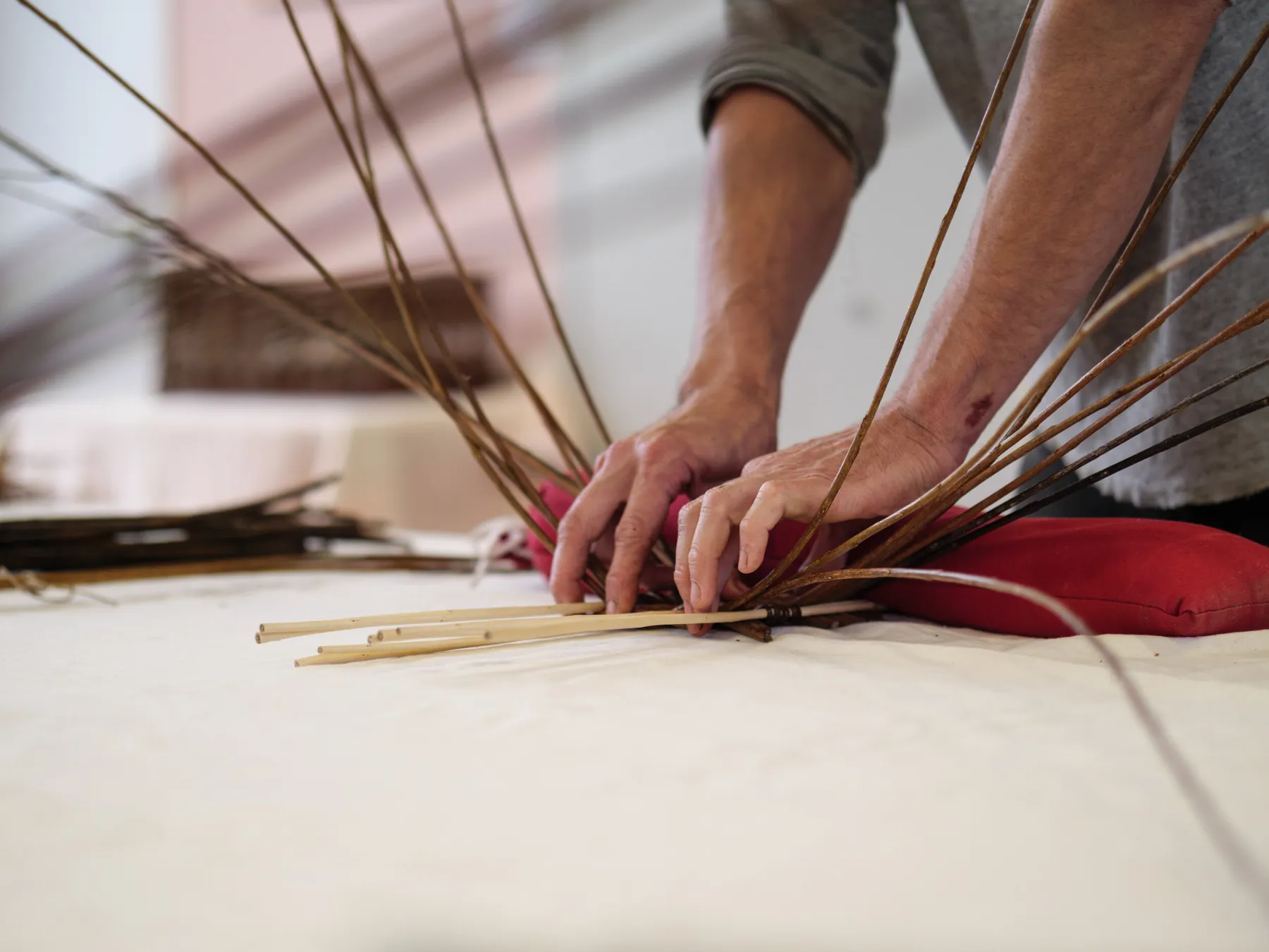 Réalisez votre plateau en osier avec Camille - Image n°1 - Wecandoo