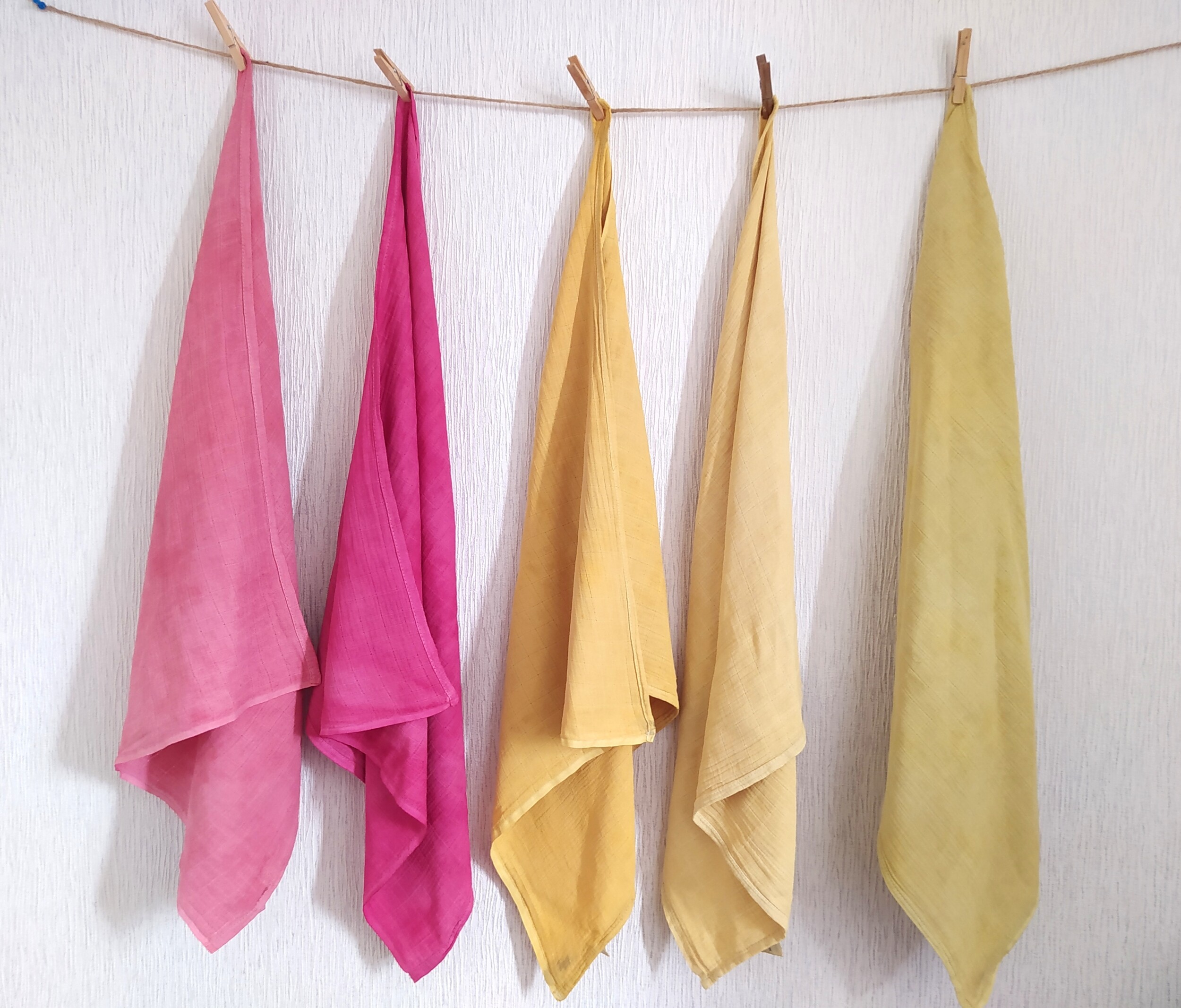 Inititiez-vous à la teinture végétale