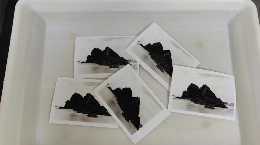 Get your team together and discover the secrets of silver photography with Sander - Image n°1 - Wecandoo