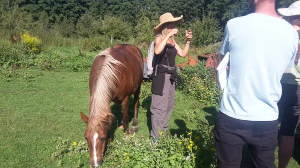 Découvrez les plantes sauvages locales le temps d'une balade avec Delphine - Image n°2 - Wecandoo