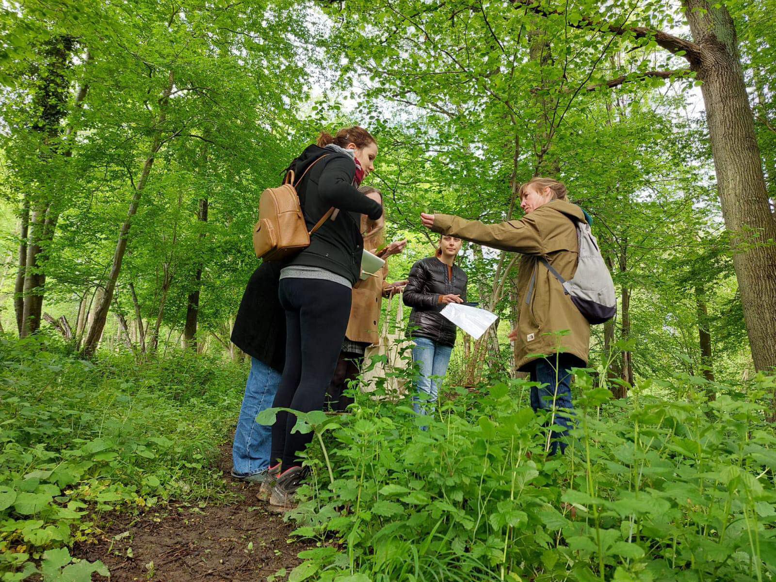 Wecandoo - Découvrez les plantes sauvages locales le temps d'une balade avec Delphine - Image n°3