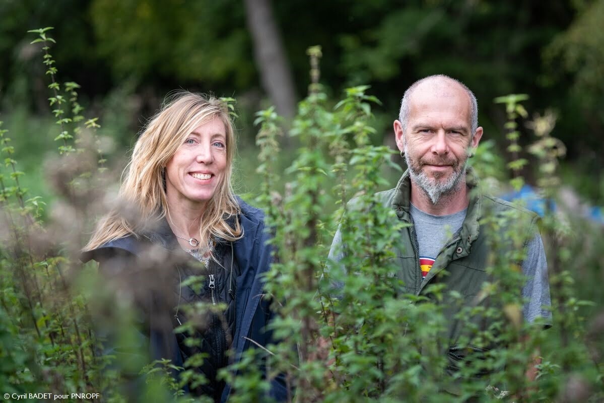 Wecandoo - Découvrez les plantes sauvages locales le temps d'une balade avec Delphine - Image n°12