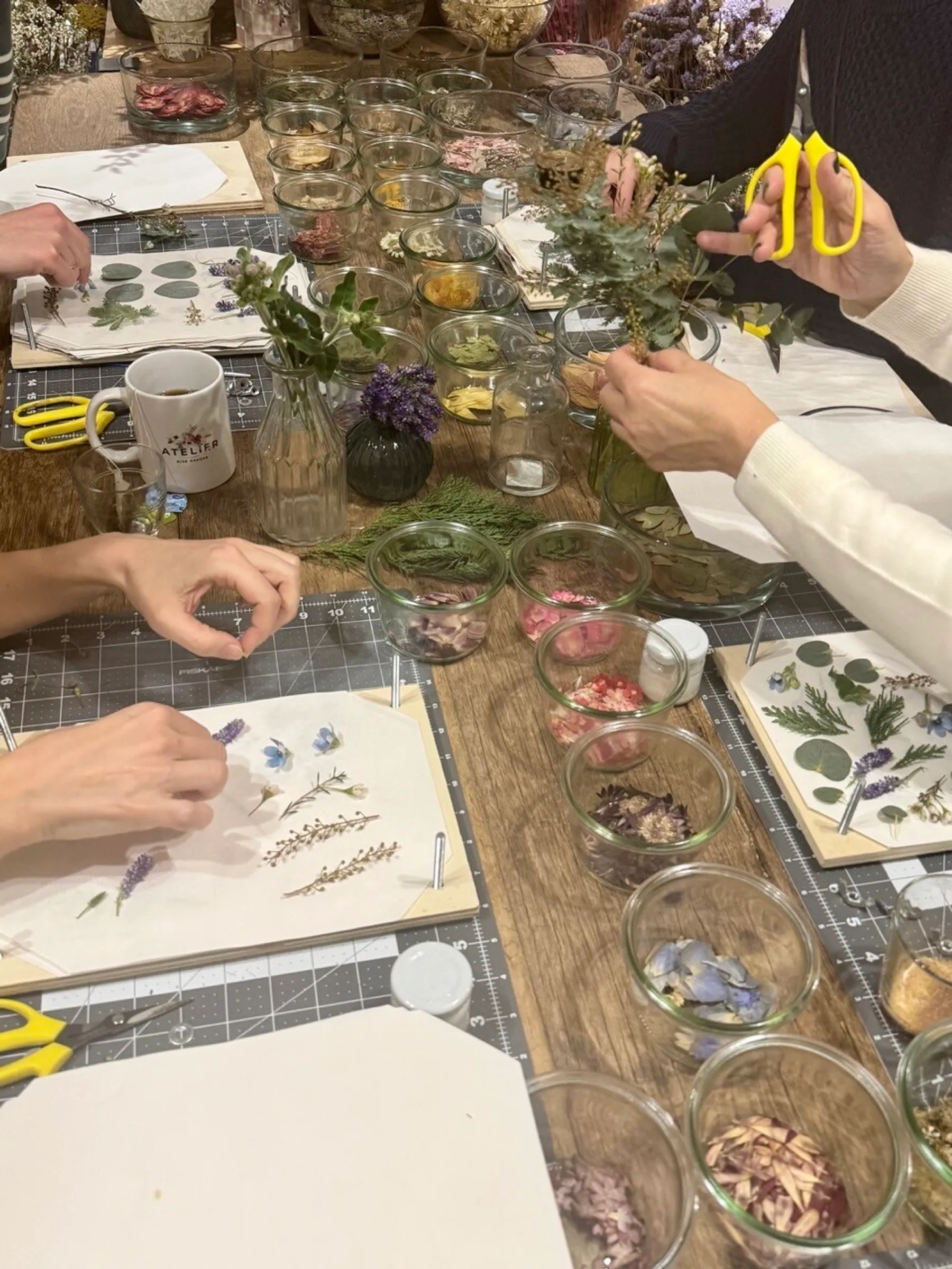 Créez en duo votre herbier - Image n°2 - Wecandoo