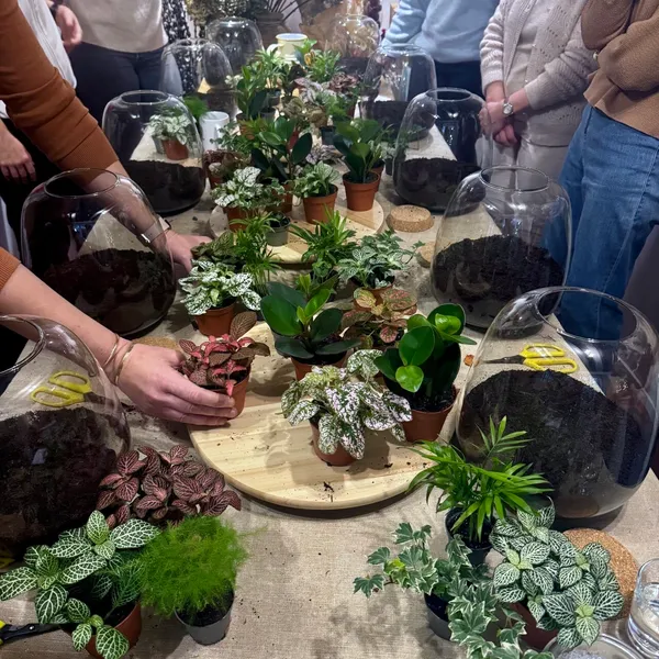 Créez votre terrarium - Afbeelding nr. 4 - Wecandoo