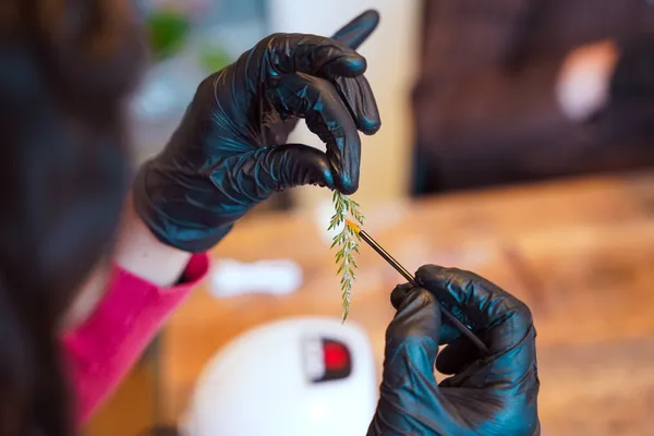 Create your own botanical jewellery with Luíza - Image n°5 - Wecandoo