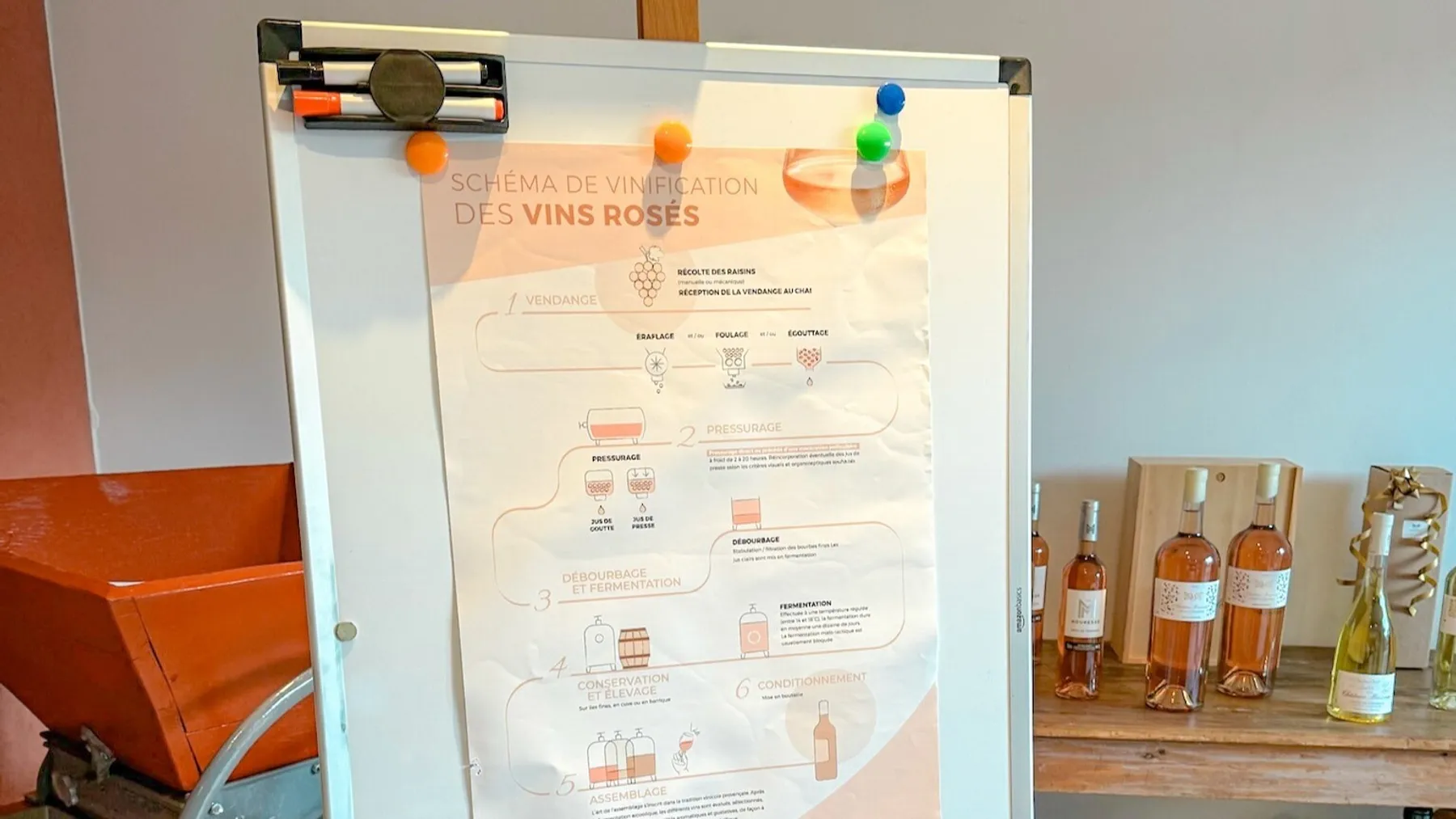 Initiez-vous à l'oenologie et dégustez des accords vins et fromages avec Emma - Image n°5 - Wecandoo