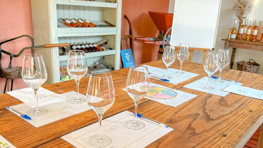 Initiez-vous à l'oenologie et dégustez des accords vins et fromages avec Emma - Afbeelding nr. 1 - Wecandoo