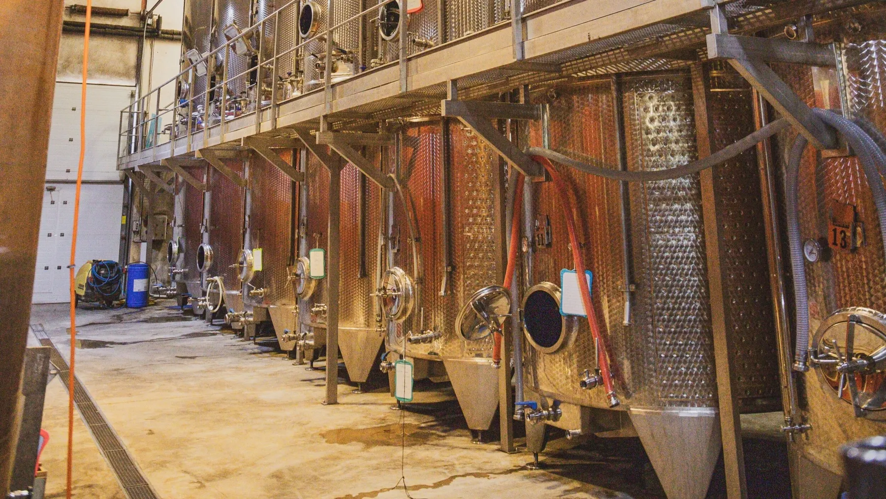 Initiez-vous à l'oenologie et dégustez des accords vins et fromages avec Emma - Image n°3 - Wecandoo