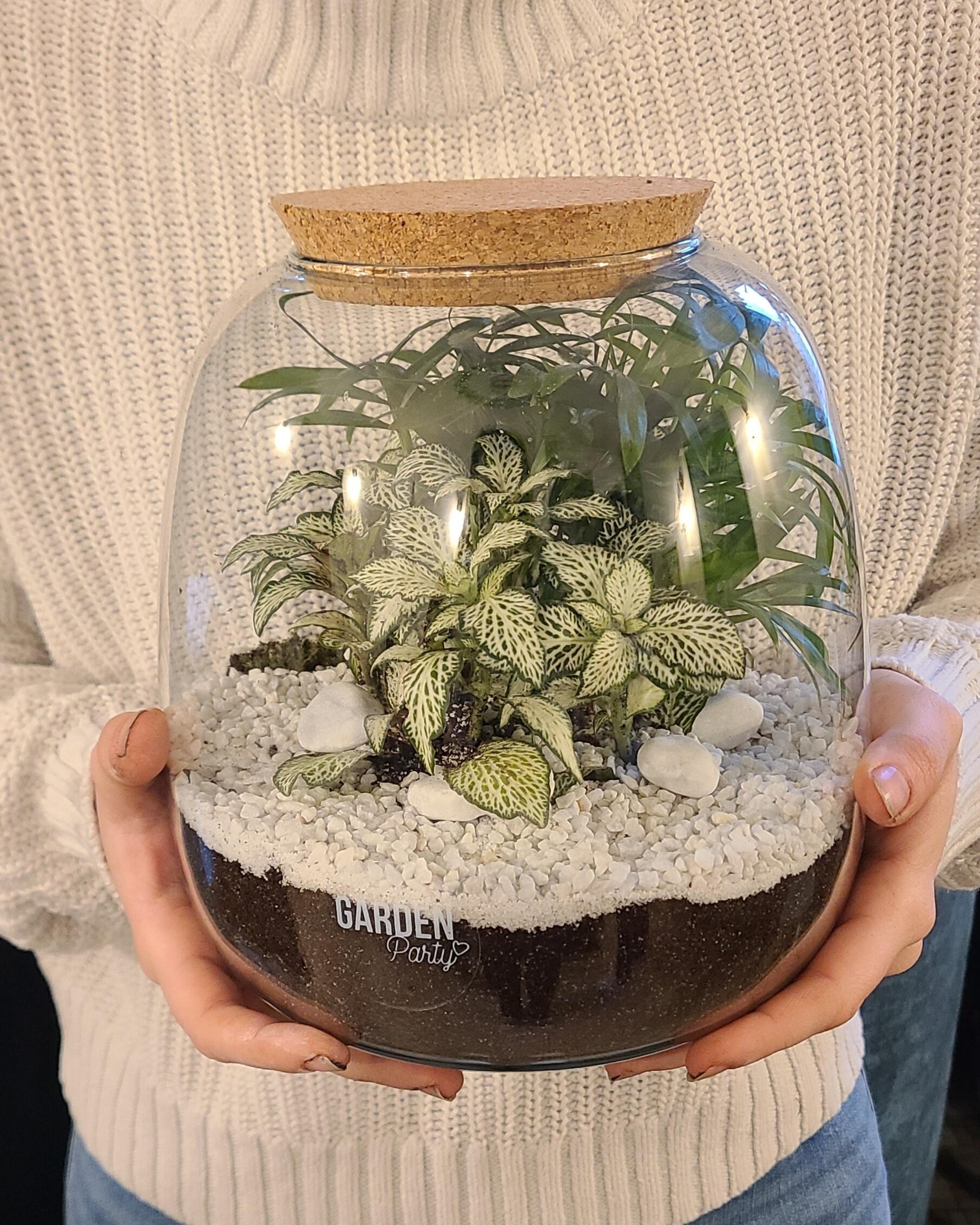 Wecandoo - Réalisez votre terrarium de taille S avec Agathe - Image n°3