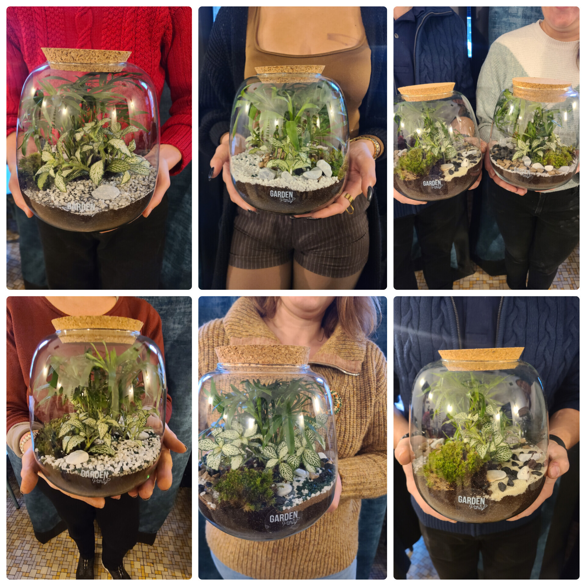 Wecandoo - Réalisez votre terrarium de taille S avec Agathe - Image n°4